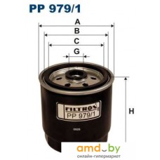 Filtron PP9791