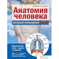 Книга издательства Эксмо. Анатомия человека: большой популярный атлас (Билич Г.)