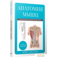 Книга издательства Попурри. Анатомия мышц: иллюстрированный справочник 9789851554719 (Джерми К.)