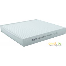 BIG Filter GB-9930