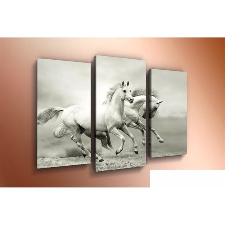 

Arthata m-000330 90x60, m-000330 90x60