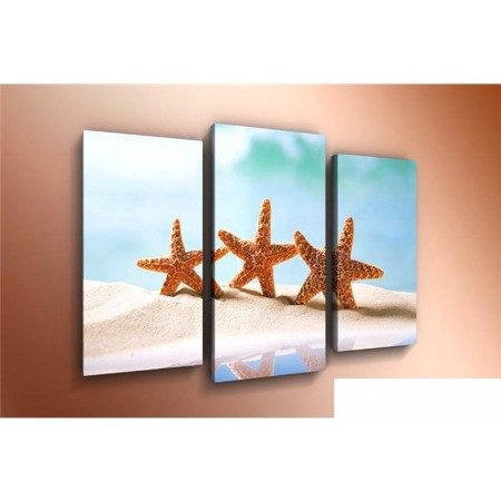 

Arthata m-000347 75x50, m-000347 75x50