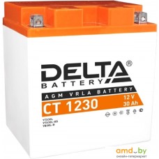 Мотоциклетный аккумулятор Delta CT 1230 (30 А·ч)