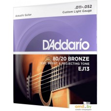 D'Addario EJ13