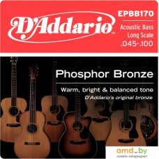 D'Addario EPBB170