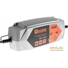 Зарядное устройство Wester CD-7200