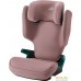 Детское автокресло Britax Romer Discovery Plus 2 (dusty rose). Фото №1