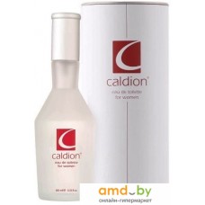 Туалетная вода Hunca Caldion EdT 100 мл