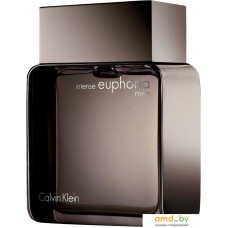 Calvin Klein Intense Euphoria Men EdT (100 мл)