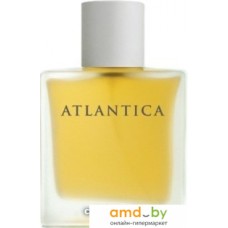 Туалетная вода Dilis Parfum Atlantica Taboo EdT 100 мл