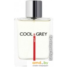 Dilis Parfum Cool&Grey Sport EdT 100 мл