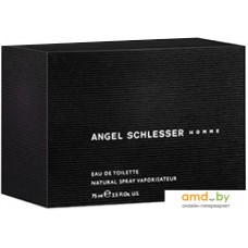 Angel Schlesser Homme edT (75 мл)