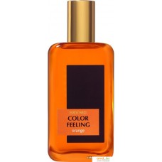 Парфюмерия Brocard Color Feeling Orange EdT (100 мл)