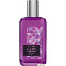 Парфюмерия Brocard Color Feeling Purple EdT (100 мл)