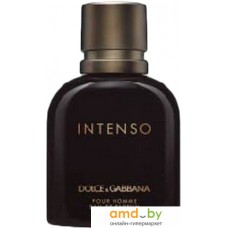 Парфюмерия Dolce&Gabbana Intenso Pour Homme EdP (40 мл)