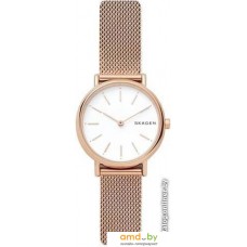 Наручные часы Skagen SKW2694