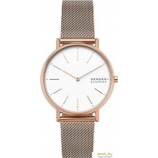 Наручные часы Skagen SKW2784