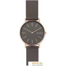 Наручные часы Skagen SKW2794