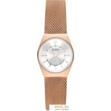 Наручные часы Skagen Grenen Lille SKW3035