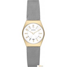 Наручные часы Skagen Grenen Lille SKW3051