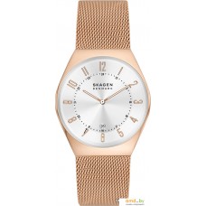 Наручные часы Skagen Grenen SKW6818