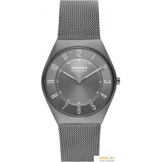 Наручные часы Skagen Grenen SKW6824