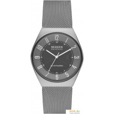 Наручные часы Skagen Grenen SKW6836