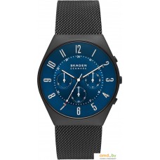 Наручные часы Skagen Grenen SKW6841