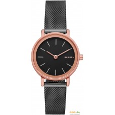 Наручные часы Skagen SKW2492