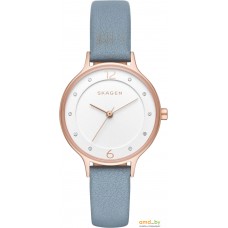 Наручные часы Skagen SKW2497