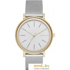 Наручные часы Skagen SKW2508