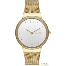 Наручные часы Skagen SKW2519