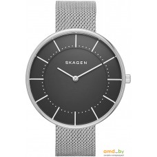 Наручные часы Skagen SKW2561