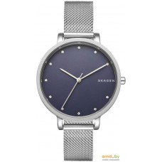 Наручные часы Skagen SKW2582