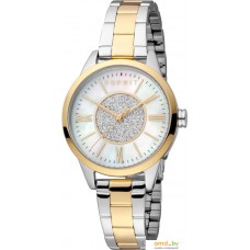 Наручные часы Esprit ES1L385M0115