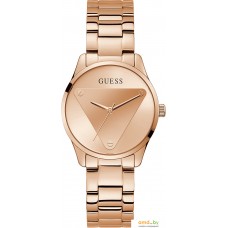 Наручные часы Guess Emblem GW0485L2