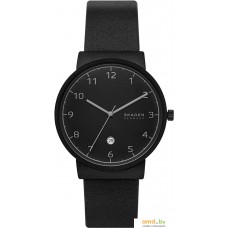 Наручные часы Skagen Ancher SKW6567