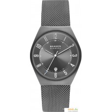 Наручные часы Skagen Grenen SKW6815