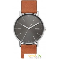 Наручные часы Skagen SKW6578