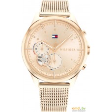 Наручные часы Tommy Hilfiger Quinn 1782486