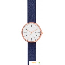 Наручные часы Skagen SKW2592