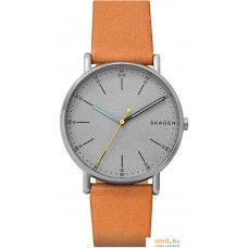 Наручные часы Skagen SKW6373