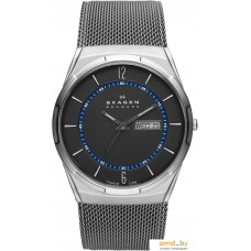 Наручные часы Skagen SKW6078