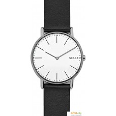 Наручные часы Skagen SKW6419