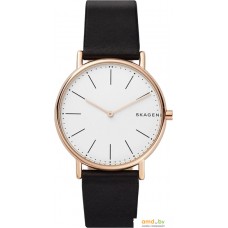 Наручные часы Skagen SKW6430