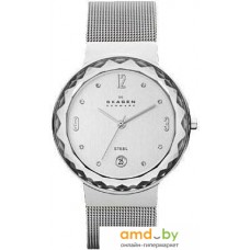 Наручные часы Skagen SKW1058