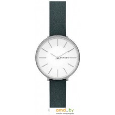 Наручные часы Skagen SKW2724