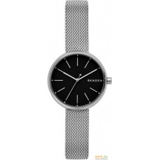 Наручные часы Skagen SKW2596