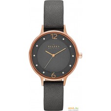 Наручные часы Skagen SKW2267