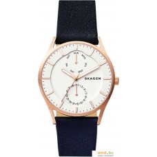 Наручные часы Skagen SKW6372